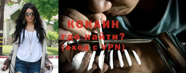альфа пвп Гусев