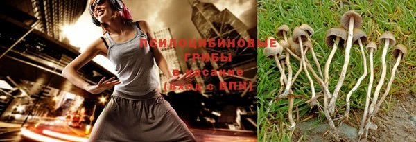 ECSTASY Гусиноозёрск