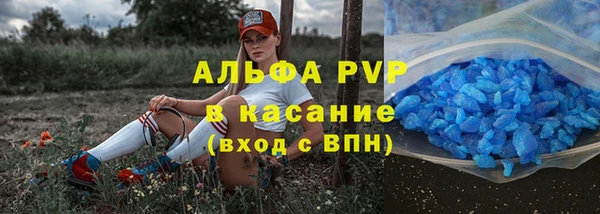 альфа пвп Гусев