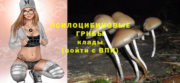 альфа пвп Гусев